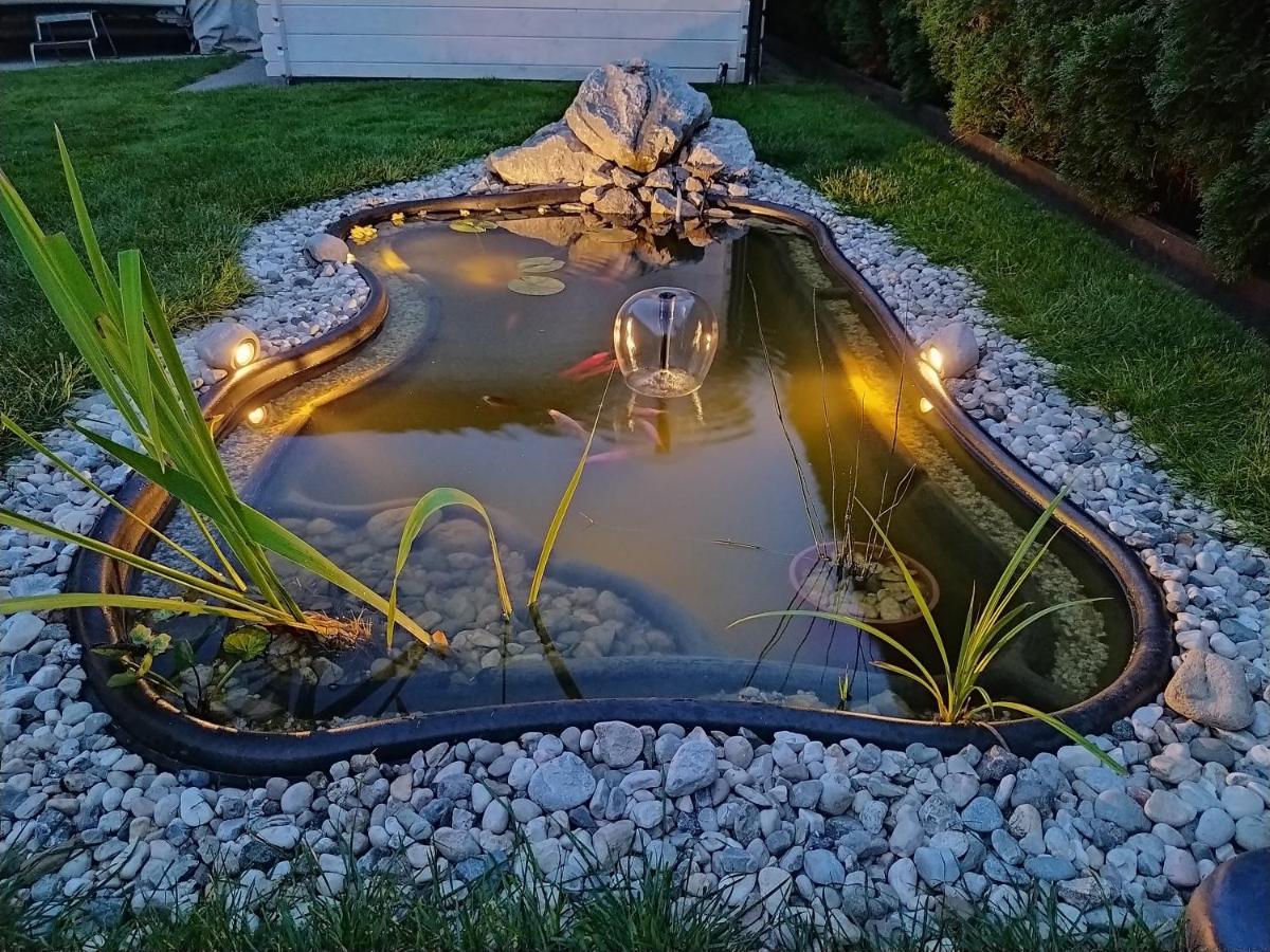 Orchid For 2, Skylight For 2 Kranj